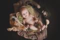 Newborn